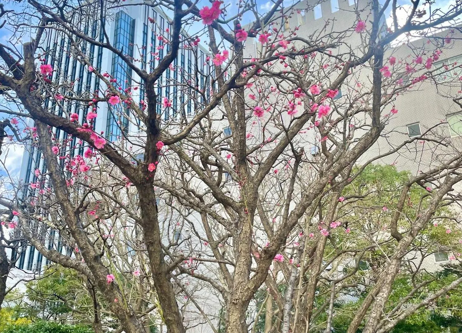 Toshi Center Hotel Tokyo